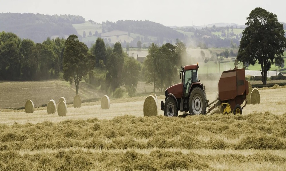 HOW PRE-OWNED MACHINERY HELPS REDUCE STARTUP COSTS